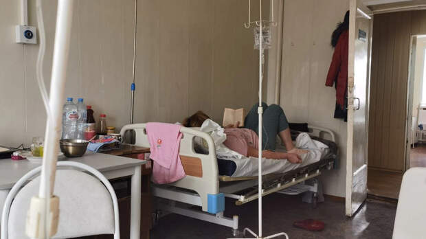 ВОЗ предупреждает: вирус Нипах часто протекает скрытно