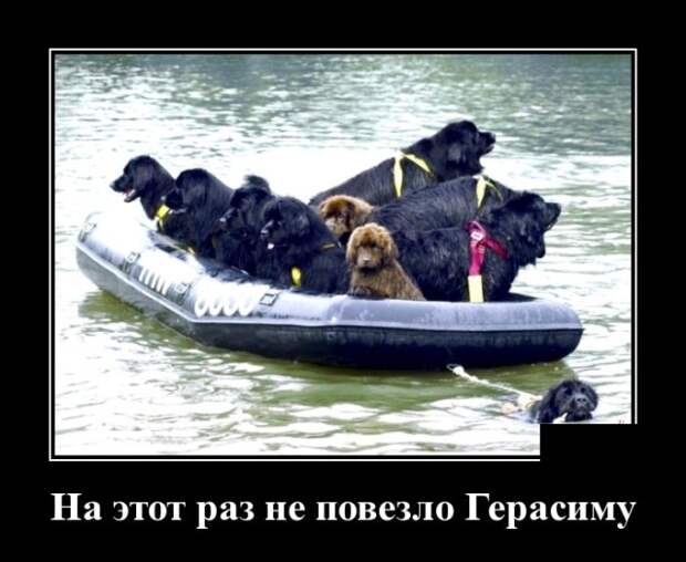 Демотиваторы (30 фото)