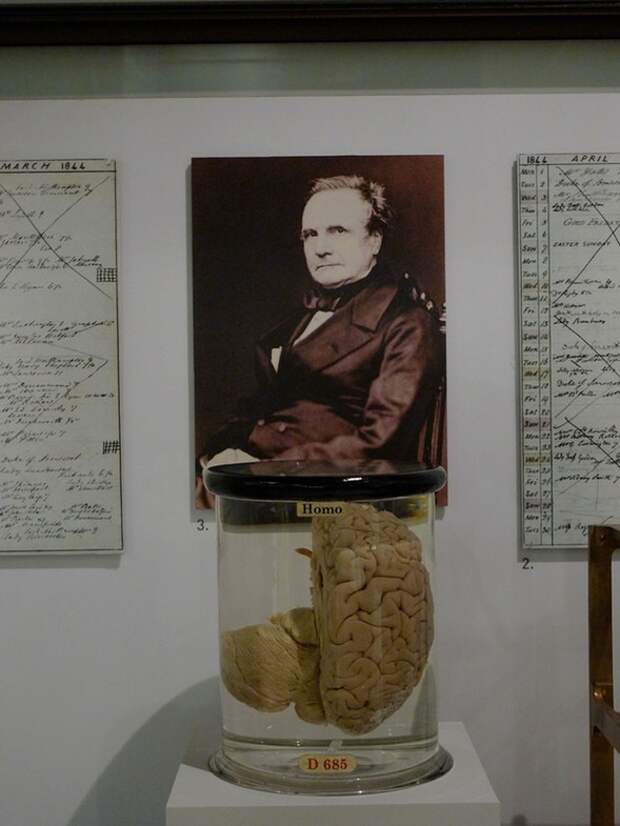 From the Science Museum in London. Charles Babbage and his brai