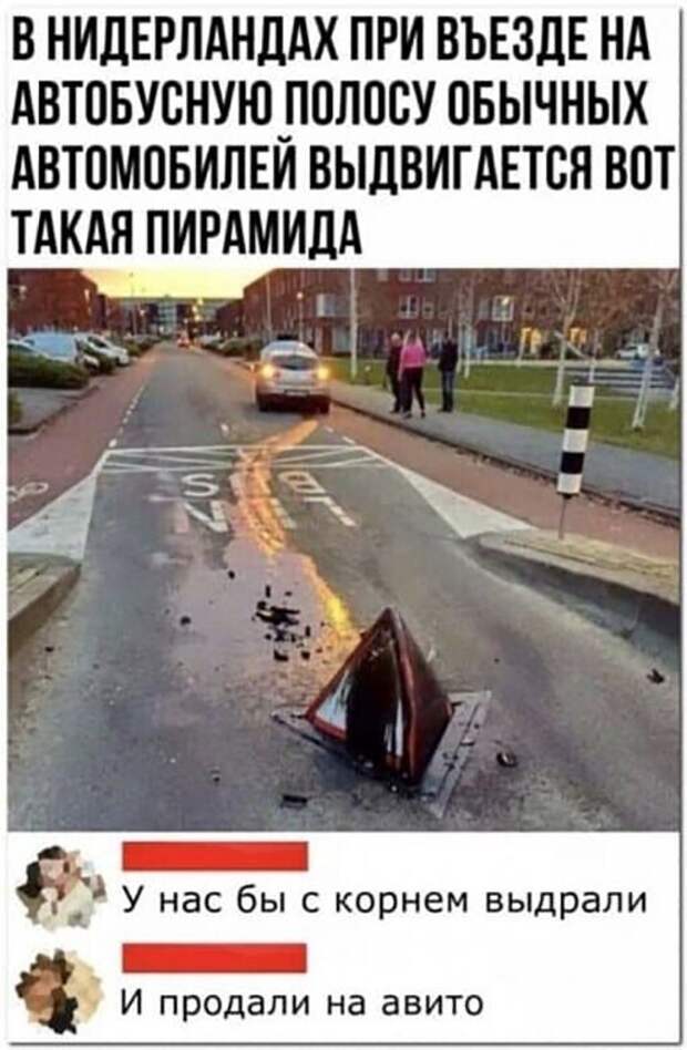 Смешные и познавательные картинки Смешные и познавательные картинки