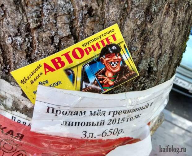 Прикольное такси (50 фото)