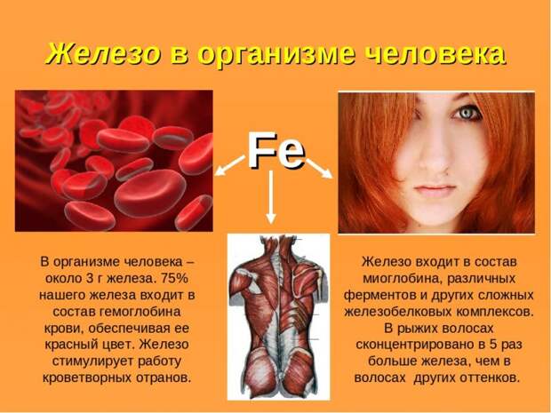 Признаки хронического дефицита железа в организме