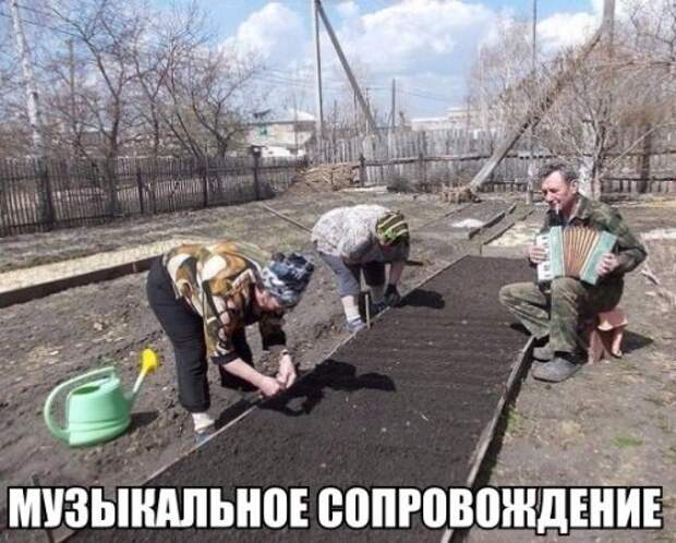 Новые фотомемы для хорошего настроения (27 шт)