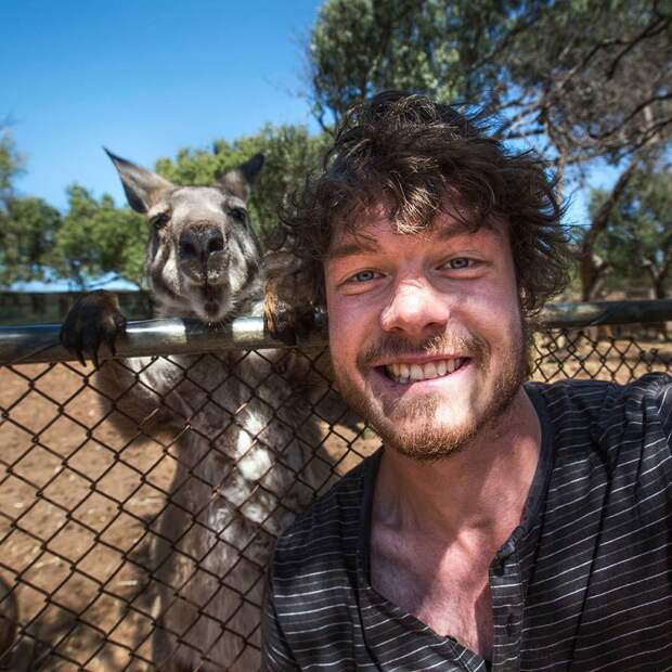5510860-880-1450945704-funny-animal-selfies-allan-dixon-12
