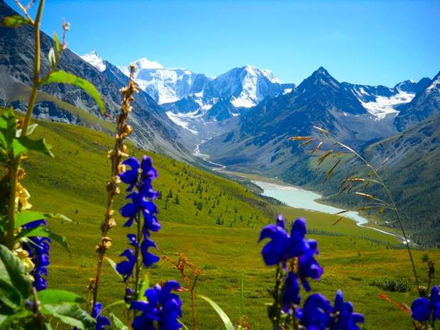 Красоты Горного Алтая горный алтай, горы, красота мира, природа, россия