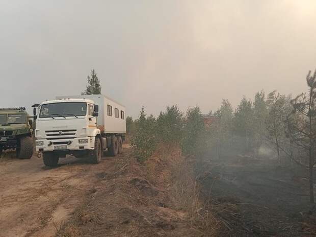 Пожары в Рязани тушат осторожно: люди должны видеть солнце