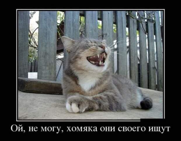 Демотиваторы (30 фото)