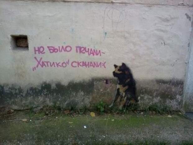 Прикольные надписи и объявления
