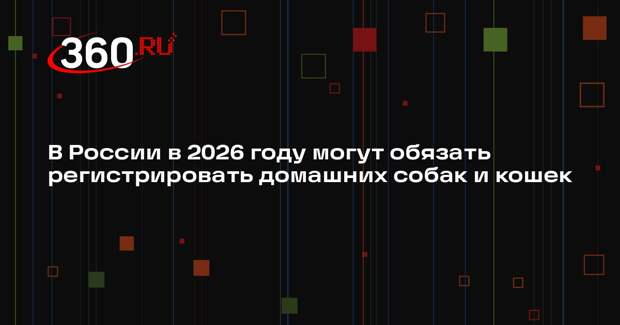 В России в 2026 году могут обязать регистрировать домашних собак и кошек
