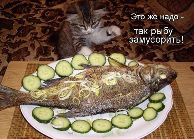 Мысли вслух :)