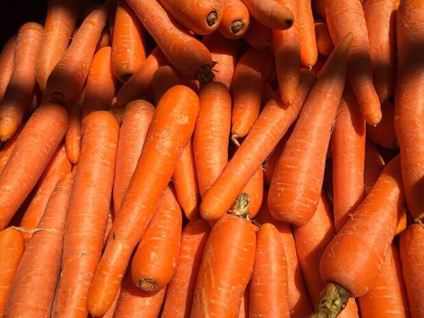 фото: unsplash. Морковь