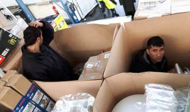 Американский коп посмотрел видео задержания в Питере и ушел на больничный: почему наши рейды на нелегалов - это мастер-класс по гуманизму.