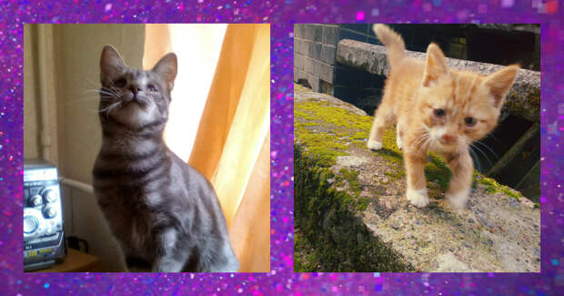 FotorCreated