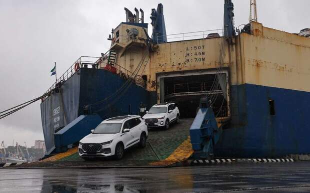 Сотни россиян столкнулись с задержками авто из КНР на таможне: что делать?