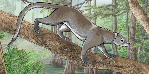 10 невероятных доисторических открытий, сделанных в 2014-м году древние животные, наука