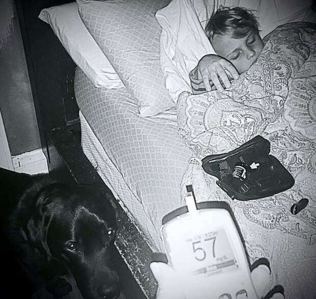dog-saves-little-boy-middle-of-night-3