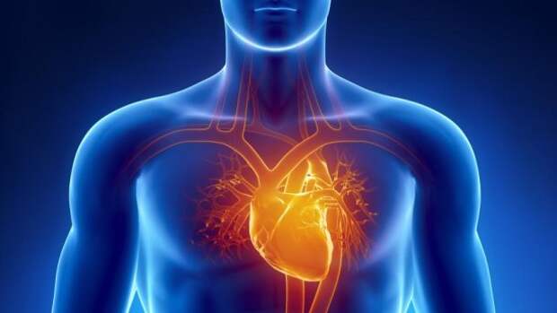 6 предупредительных симптомов того, что ваше сердце работает неправильно