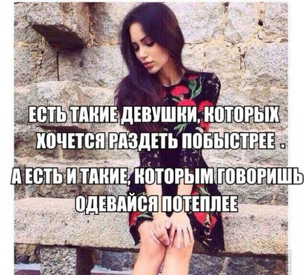 Картинки, юмор, приколы