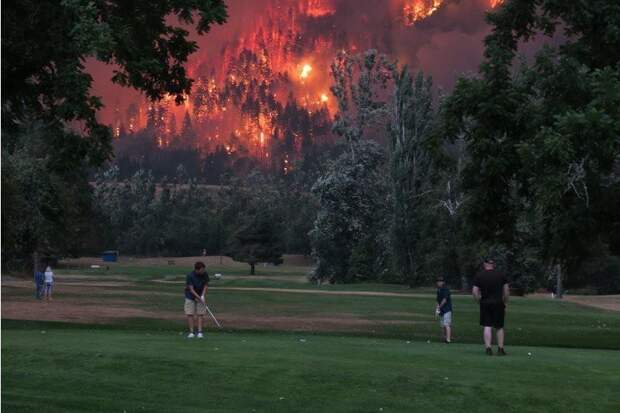 51. Лесные пожары в Орегоне животные, мир, подборка, природа, ужас, фото, явление