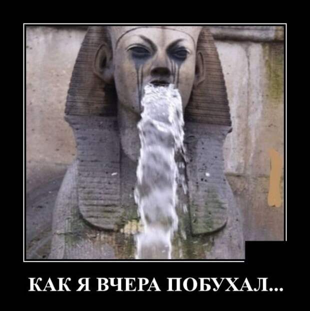 demotivatory-demotivator-smeshnye-demotivatory-demotivator-so-smyslom