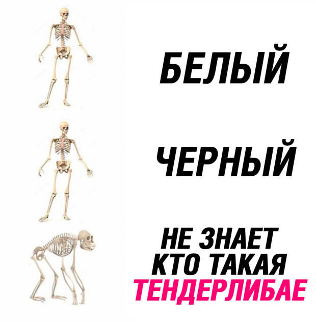 Тендерлибае мемы