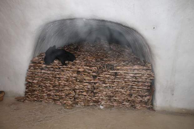 Блог - Ямальский мерзлотник — крупнейший природный холодильник в мире, где можно заблудиться Ямальский мерзлотник — крупнейший природный холодильник в мире, где можно заблудиться