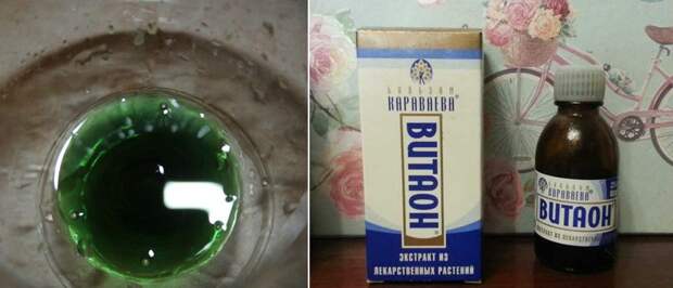 раствор хлорофиллипта