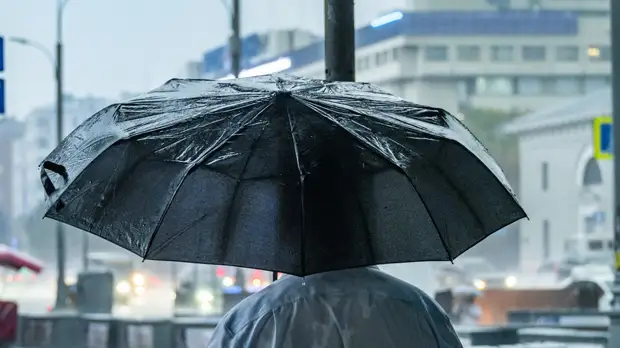 В Гидрометцентре спрогнозировали мокрый снег в Москве в выходные