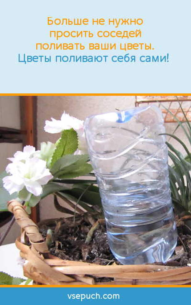 Больше не нужно просить соседей поливать ваши цветы. Цветы поливают себя сами!