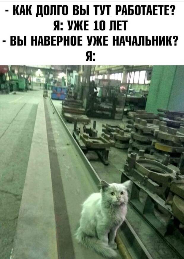 юмор в картинках (16)