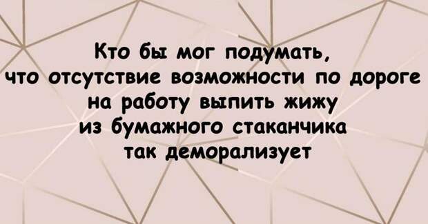 Немного позитива в Ваш день. Подборка веселостей!