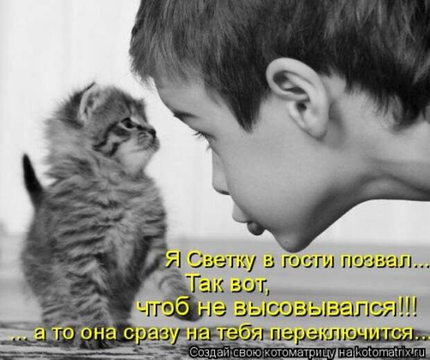 Лучшая котоматрица недели (38 фото)