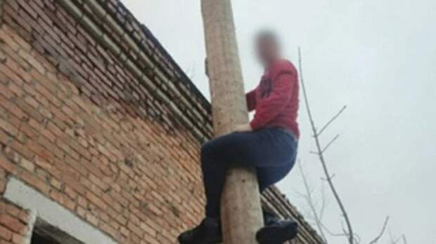 Фото: ГУ МВД по Алтайскому краю  