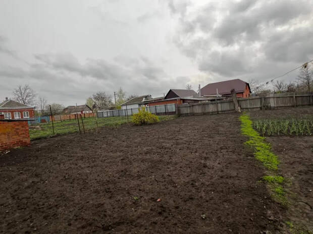 Навоз пусть лежит в куче, компост тоже: после дождя сыплю эту муку — и грядка мягче бабушкиной перины