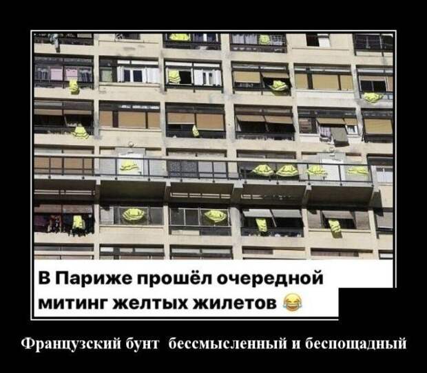 demotivatory-demotivator-smeshnye-demotivatory-demotivator-so-smyslom demotivatory-demotivator-smeshnye-demotivatory-demotivator-so-smyslom