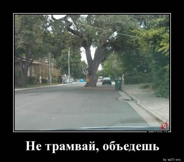 Демотиваторы №3155 (15 фото)