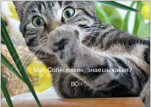 Мысли вслух :)