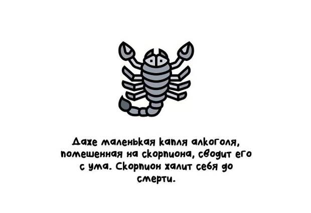 Короткие и интересные факты на все случаи жизни