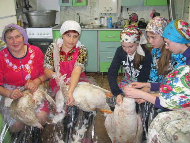 В Саратовской области возродили праздник гусиного пера