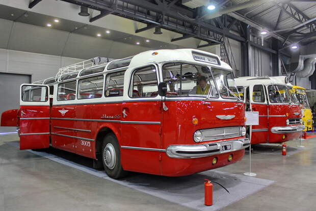 Автобусы (часть 2). Ikarus 55 / Lux автобус, ретроавтобус, ретро, автопром, СССР, длиннопост