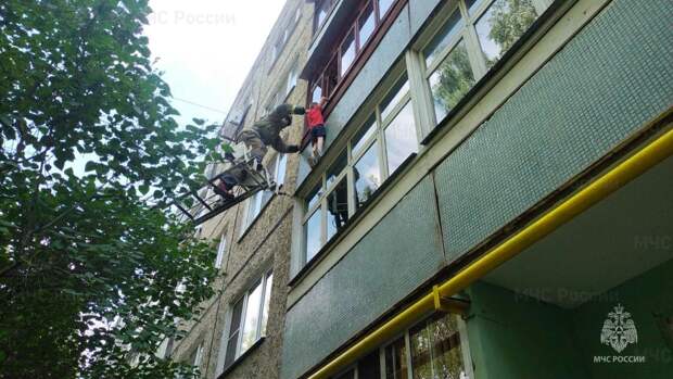 В Гусе-Хрустальном спасатели сняли с карниза четвертого этажа 5-летнего мальчика
