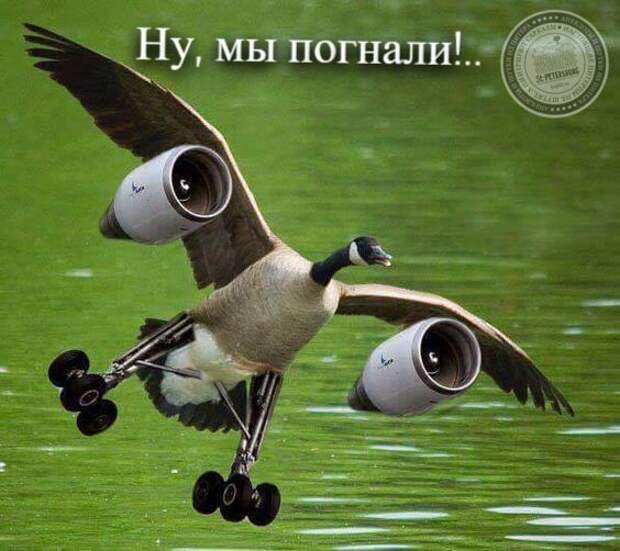 Ну, мы погнали