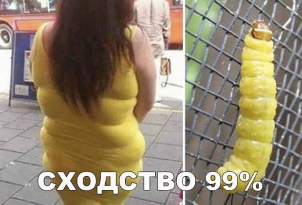 Хотите фото-приколов?