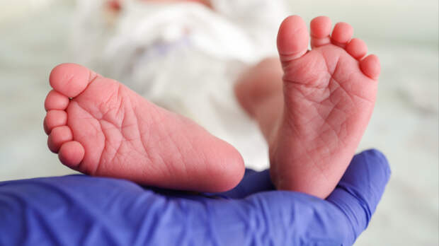 Дело калининградских врачей об убийстве недоношенного ребенка раскололо медсообщество страны