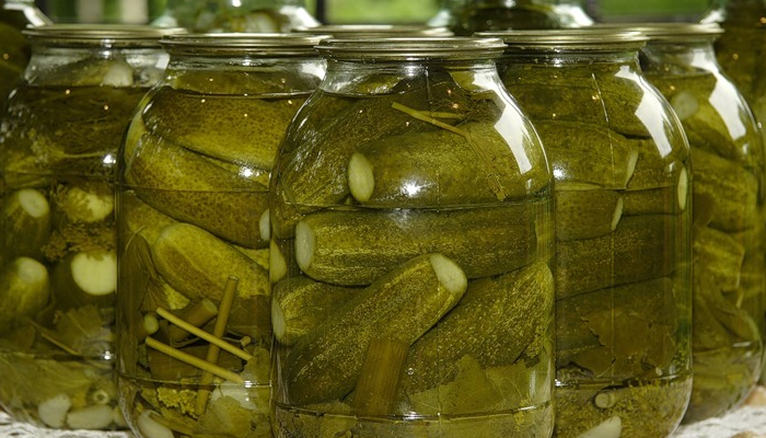 Соленые огурцы на зиму: 5 вкусных рецептов хрустящих огурцов в банках