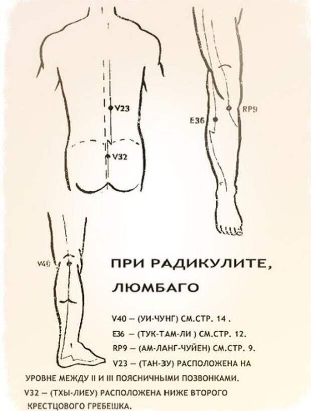 6. Для профилактики и лечения радикулита найди следующие 4 точки Бальзам, звездочка