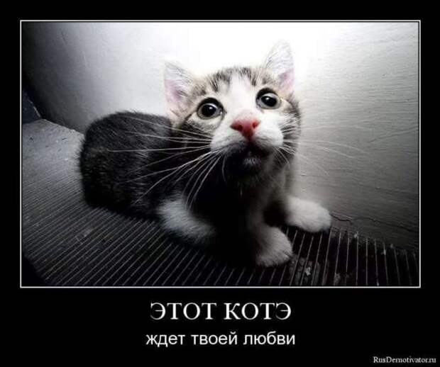 Демотиваторы. Подборка chert-poberi-dem-chert-poberi-dem-47020919052020-5 картинка chert-poberi-dem-47020919052020-5