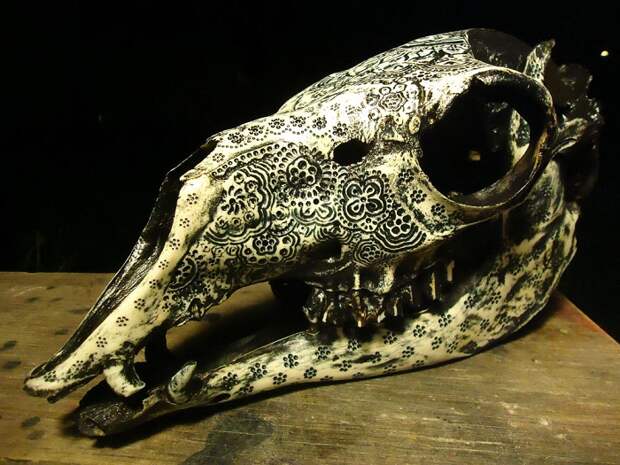 Орнамент, нанесенный на череп животного.