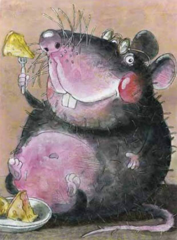 Жир мыши. Толстая крыса. Толстая мышь. Мышка объелась. Миша толстый.
