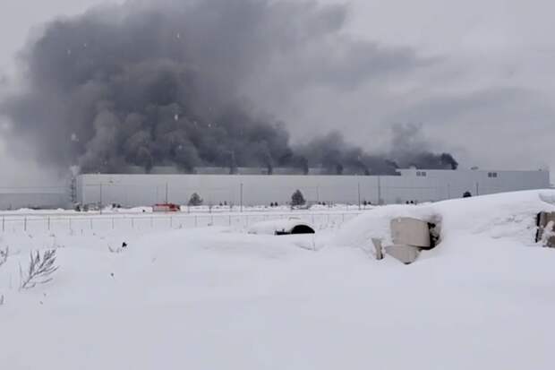 Автоэксперт Целиков: если бывший Volkswagen выгорел, Tenet приостановит продажи